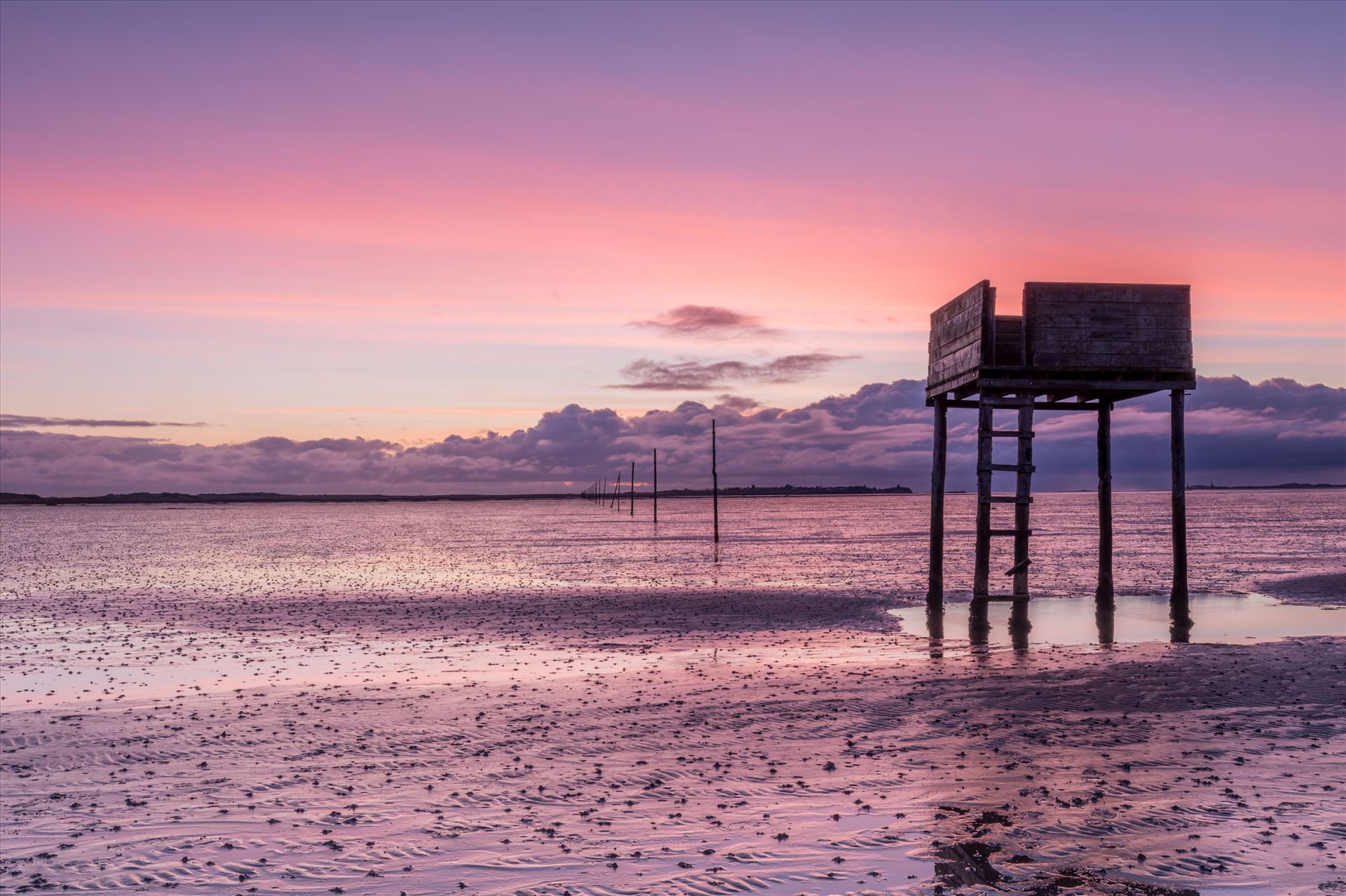 Sunrise at Holy Island - The Holy Island of Lindisfarne is a tidal island off the northeast coast of England. It is also known just as Holy Island & is now a popular destination for visitors to the area. by philreay