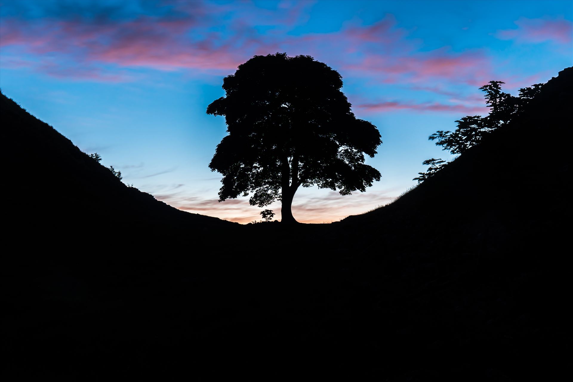 Sycamore Gap, Northumberland 01 - This is probably the most photographed spot in the whole of Northumberland National Park. Here, a sycamore tree grows in a dramatic dip with Hadrian’s Wall rising up either side. Also made famous by the film ‘Robin Hood: Prince of Thieves’ by philreay