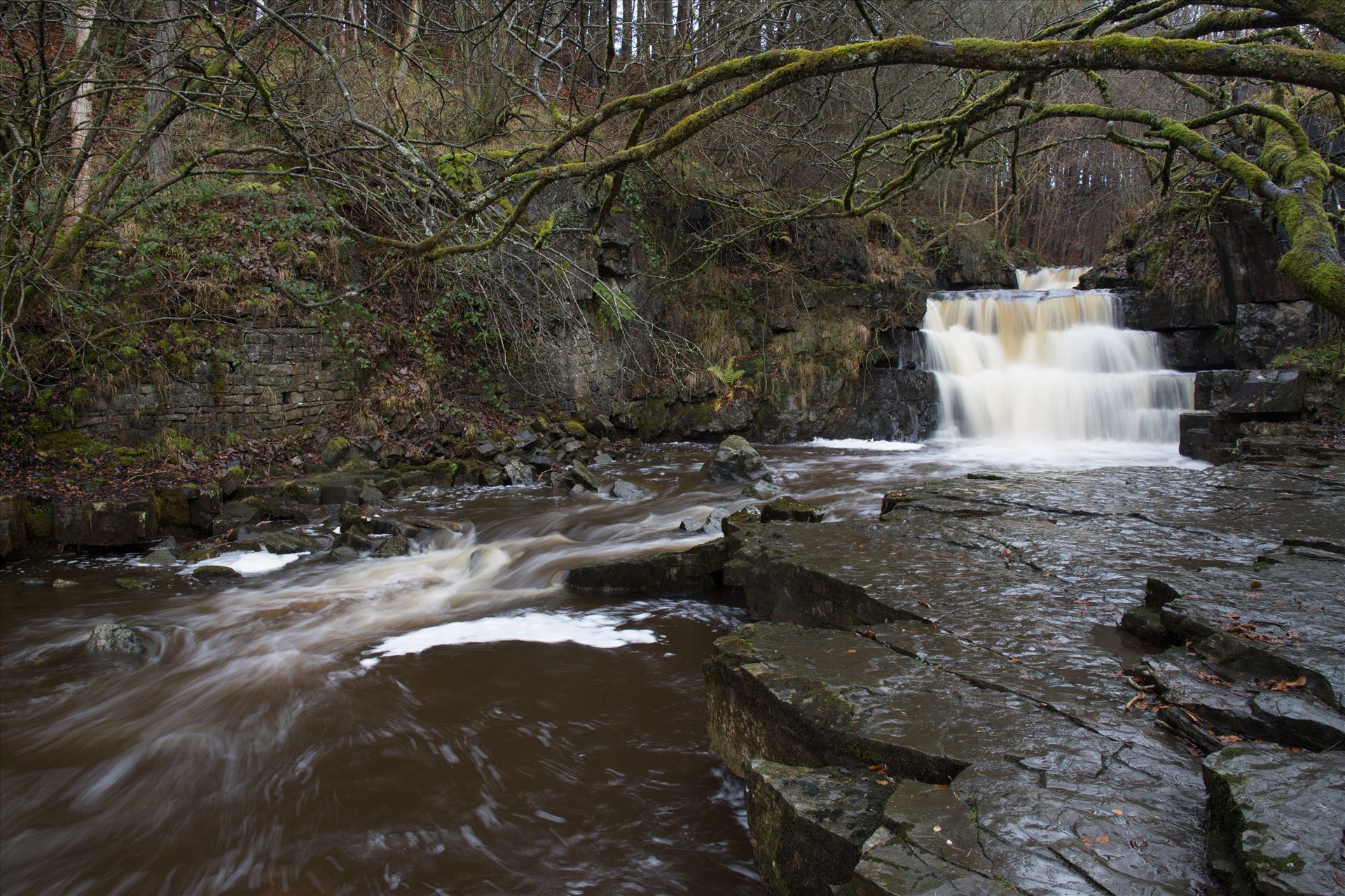 Summerhill Force - Summerhill Force is a picturesque waterfall in a wooded glade near Bowlees in Upper Teesdale. by philreay