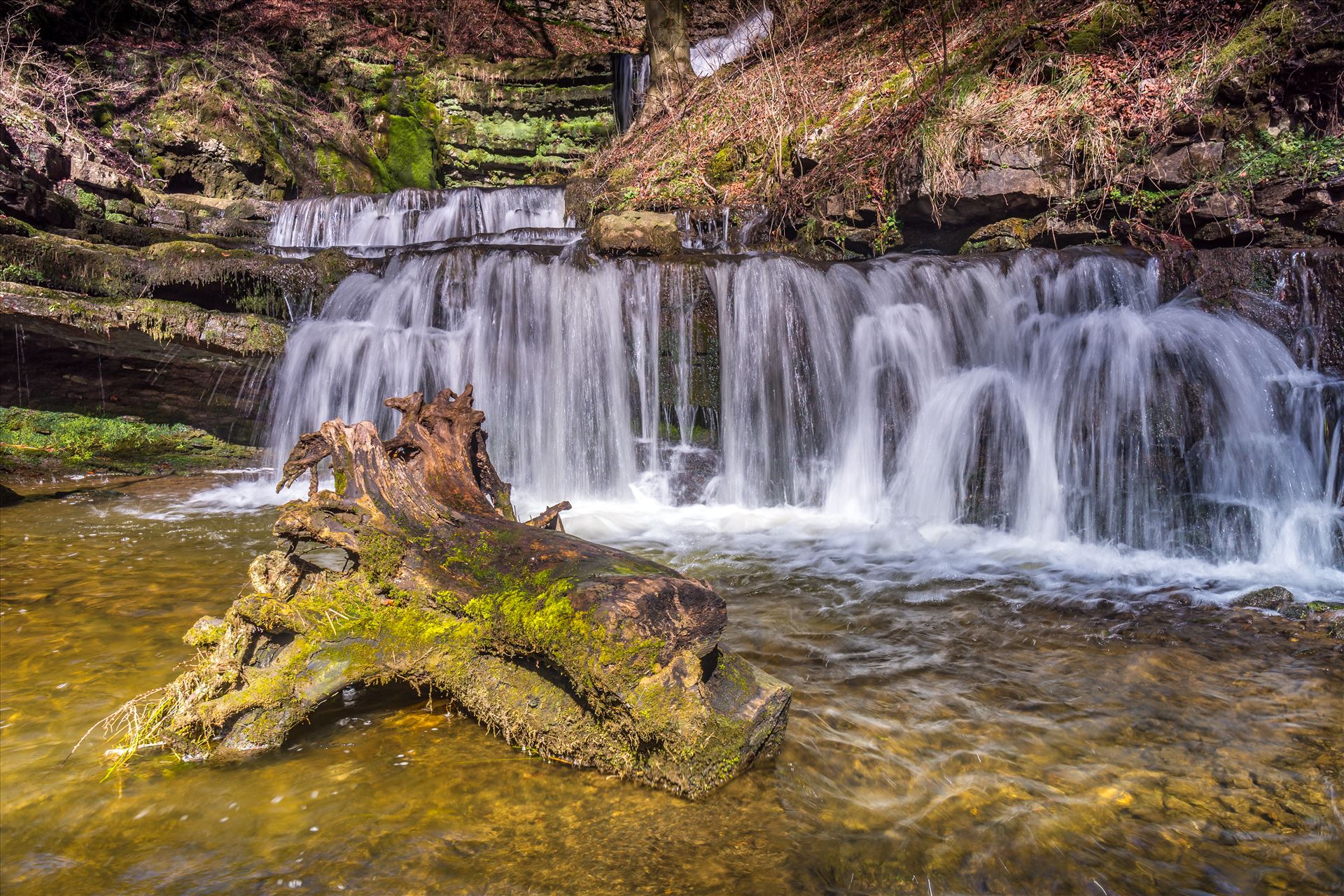 Scaleber Force - Scaleber Force,a stunning 40ft waterfall, is in a lovely location a mile or so above Settle in Ribblesdale on the road to Kirkby Malham in the Yorkshire Dales. by philreay