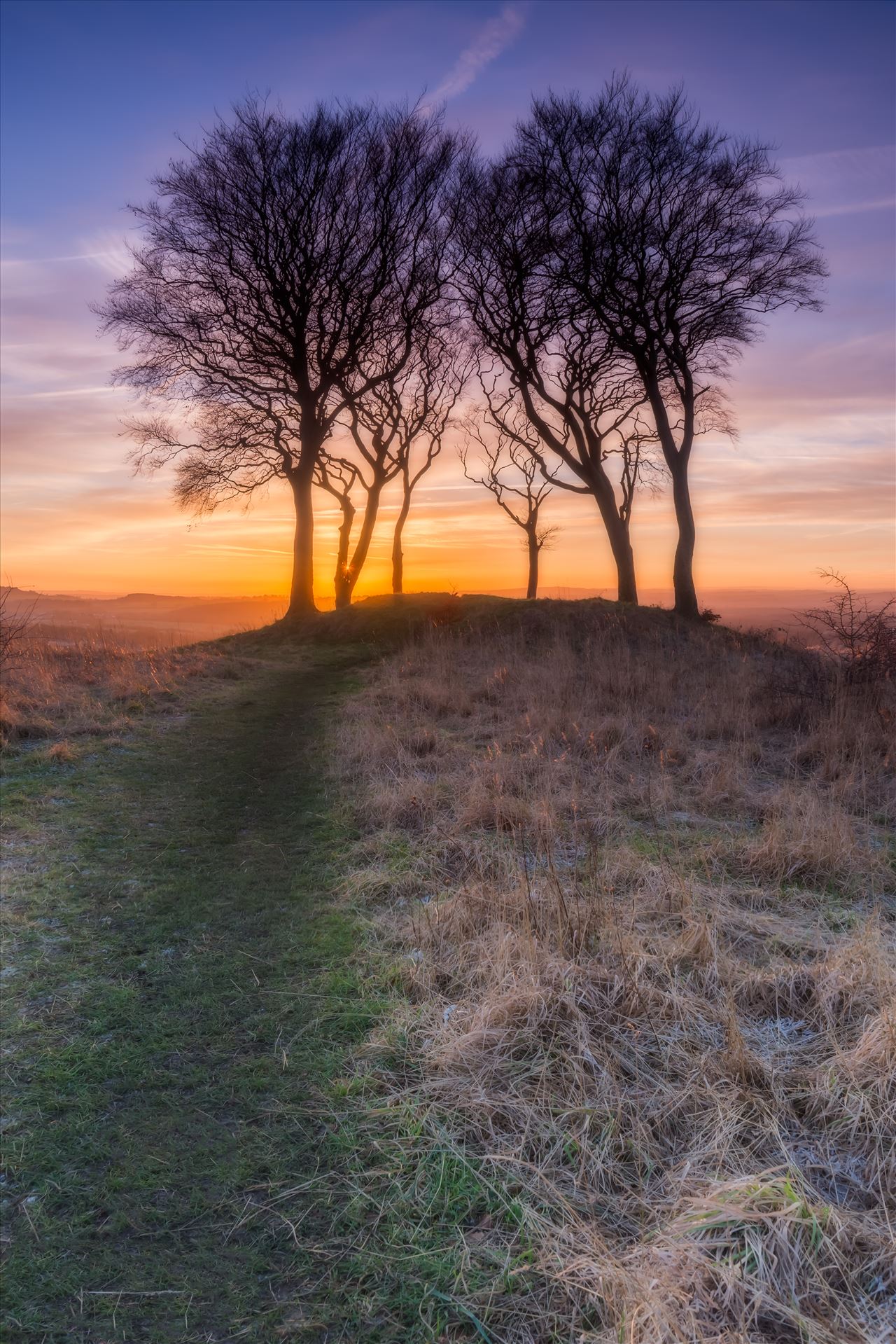 Sunset at Copt Hill - Orton edit - Copt Hill is an ancient burial ground near Houghton-le-Spring. The site is marked by six trees. Presumably there used to be a seventh tree, as they are known as the Seven Sisters. by philreay