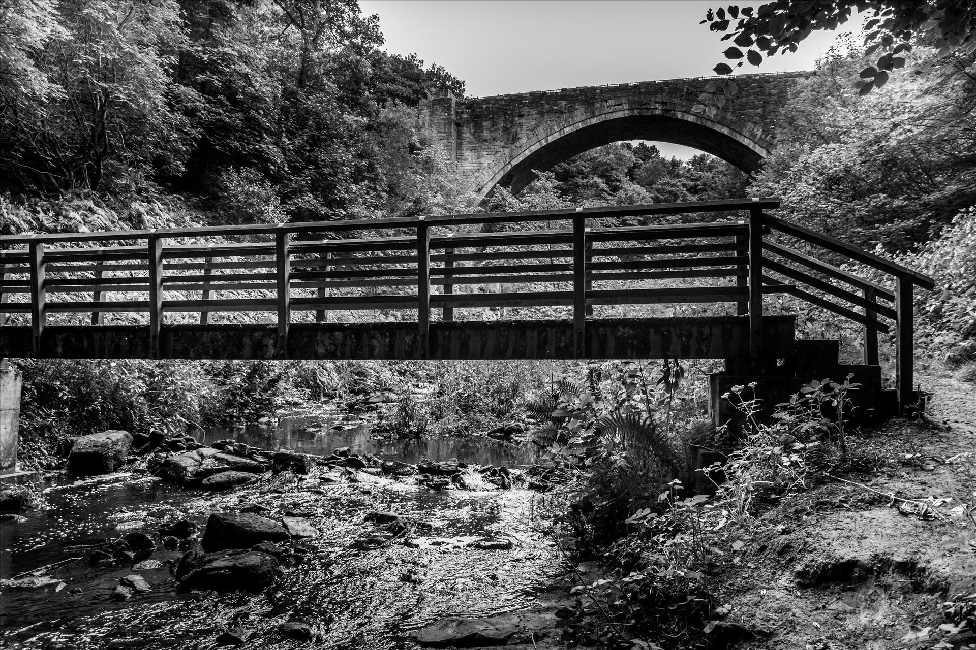 Causey Arch - The Causey Arch is a bridge near Stanley in County Durham. It is the oldest surviving single-arch railway bridge in the world. When the bridge was completed in 1726, it was the longest single-span bridge in the country. by philreay