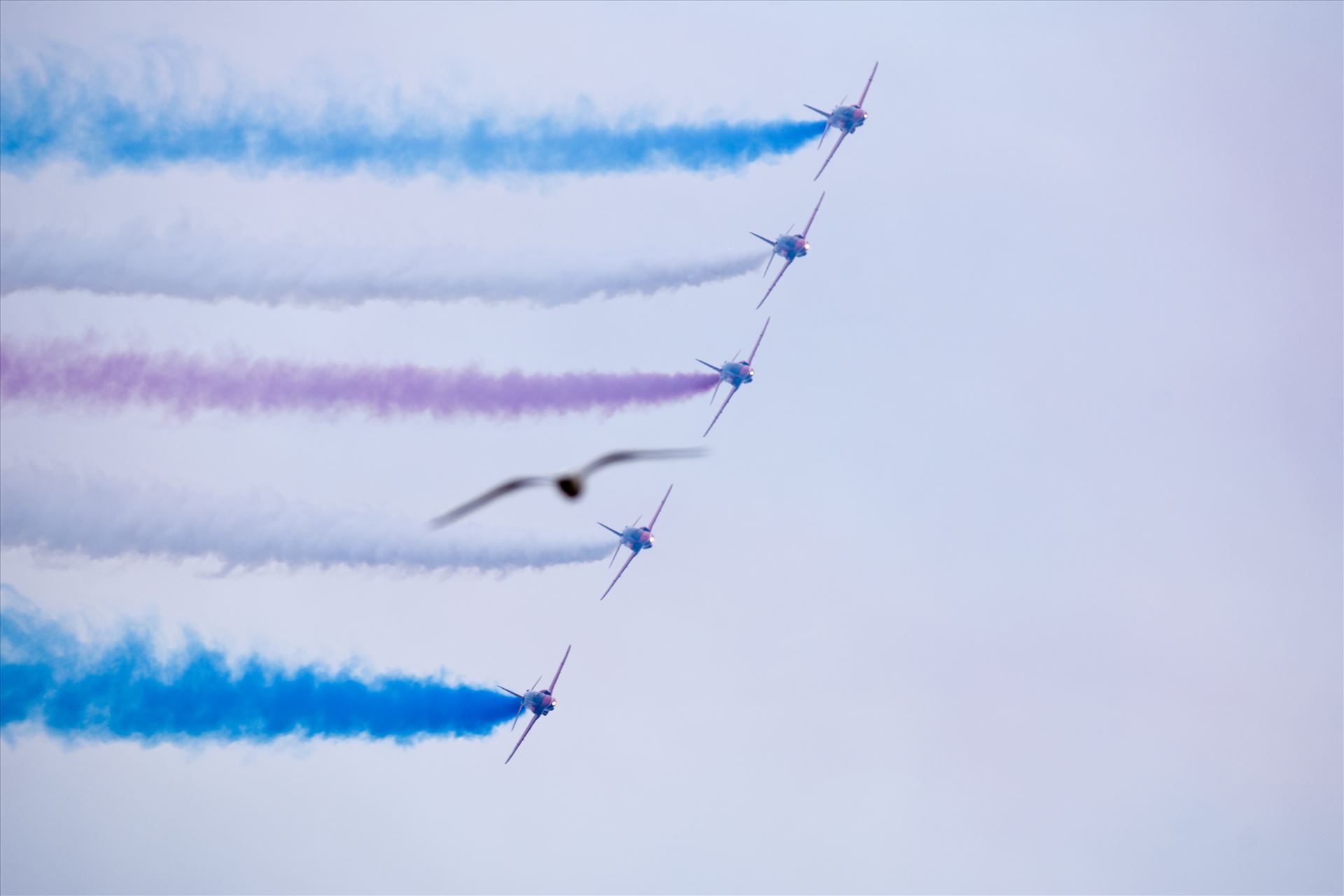 Red Arrows - The Red Arrows taken at the Sunderland air show 2016 by philreay