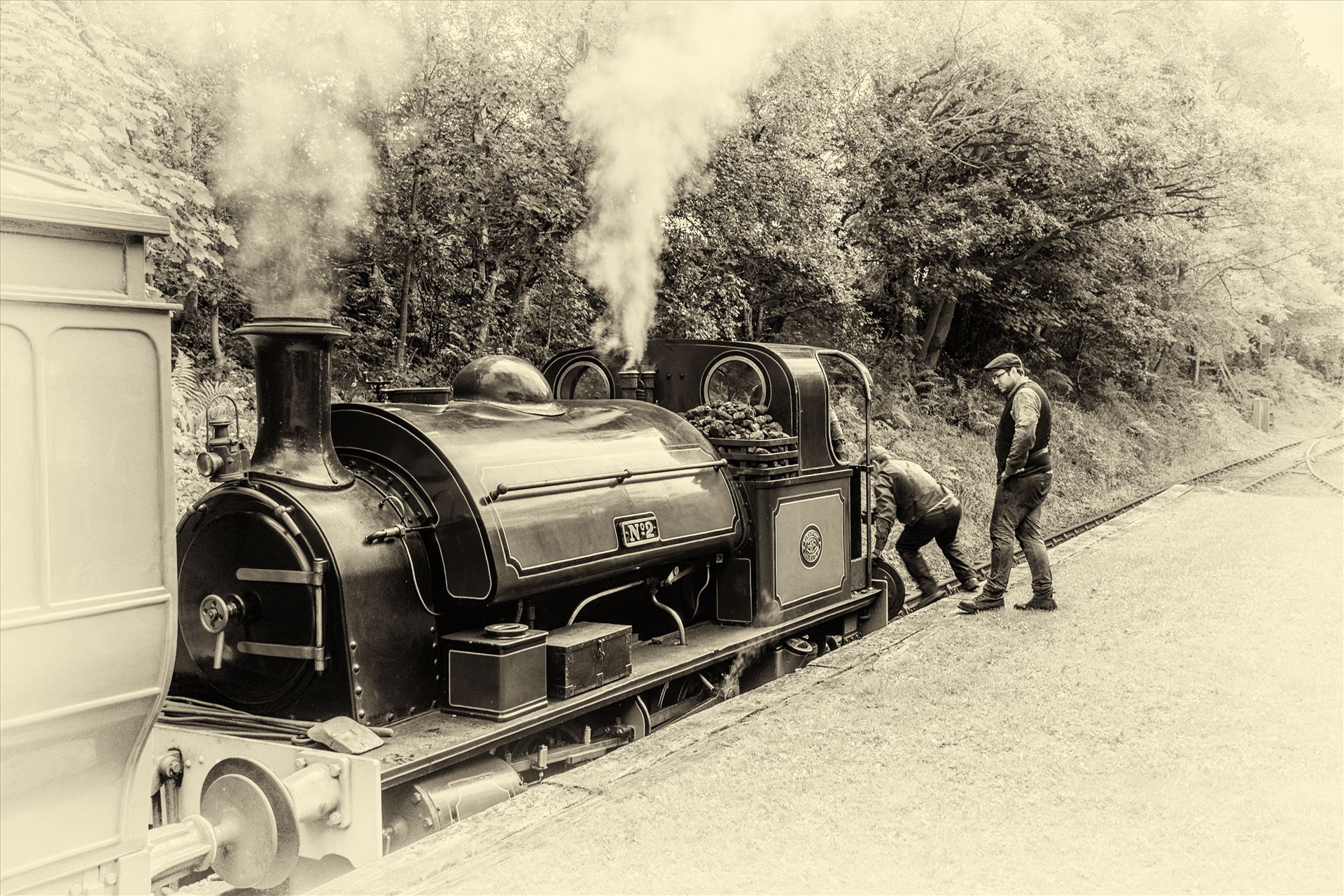 Steam train at Tanfield railway -  by philreay
