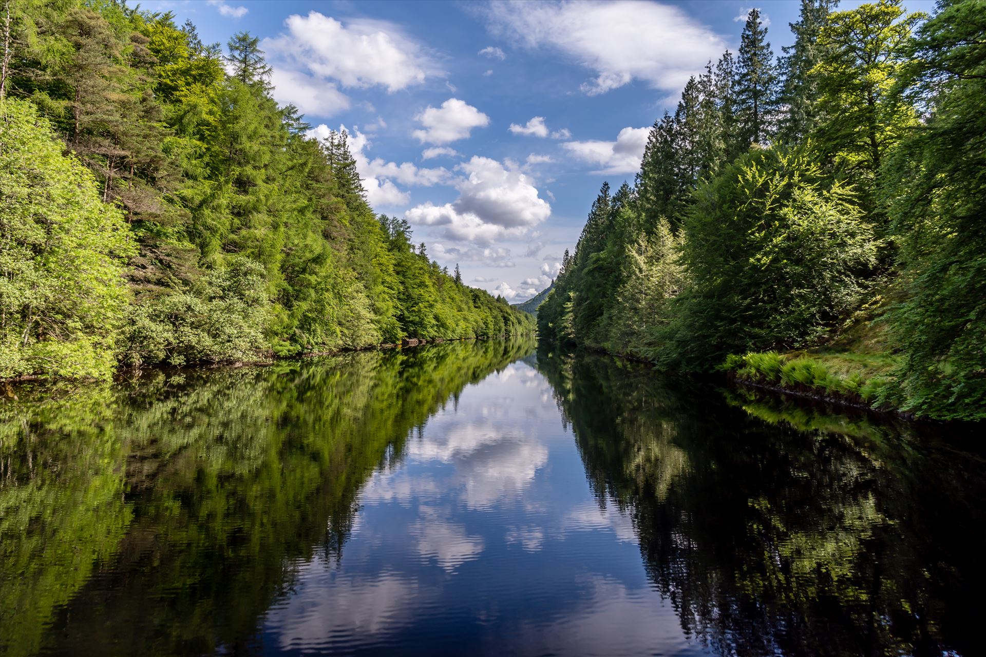 Laggan Avenue - Laggan Avenue is an outstanding part of the Caledonian Canal which sits between Loch Lochy & Loch Oich. by philreay