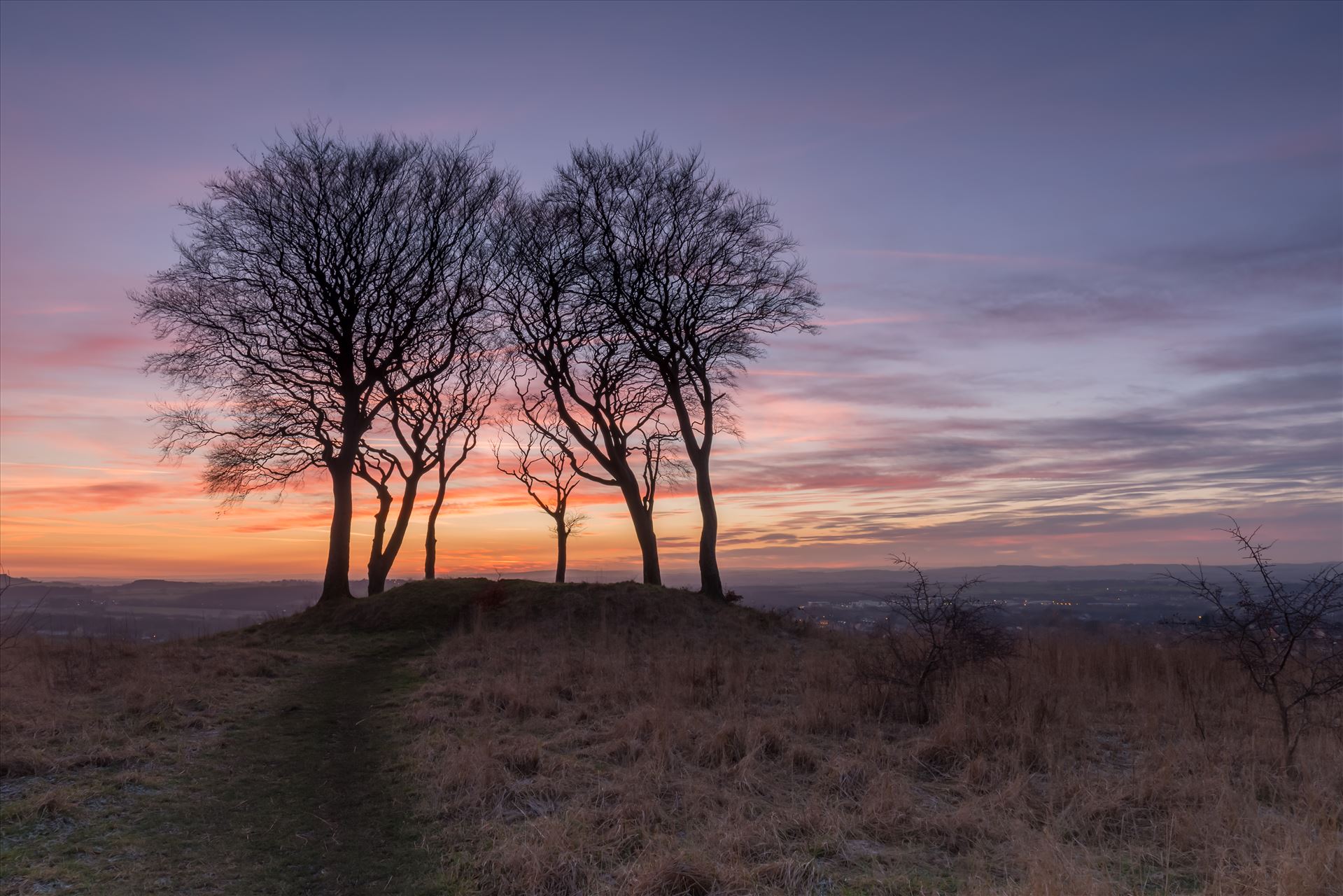 Sunset at Copt Hill - Copt Hill is an ancient burial ground near Houghton-le-Spring. The site is marked by six trees. Presumably there used to be a seventh tree, as they are known as the Seven Sisters. by philreay