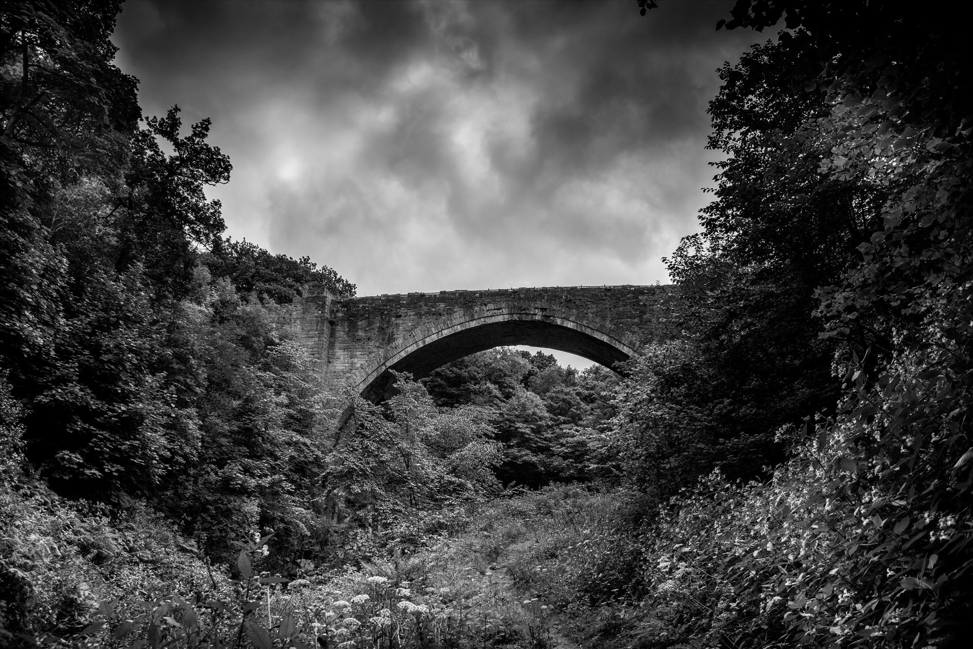 Causey Arch - The Causey Arch is a bridge near Stanley in County Durham. It is the oldest surviving single-arch railway bridge in the world. When the bridge was completed in 1726, it was the longest single-span bridge in the country. by philreay