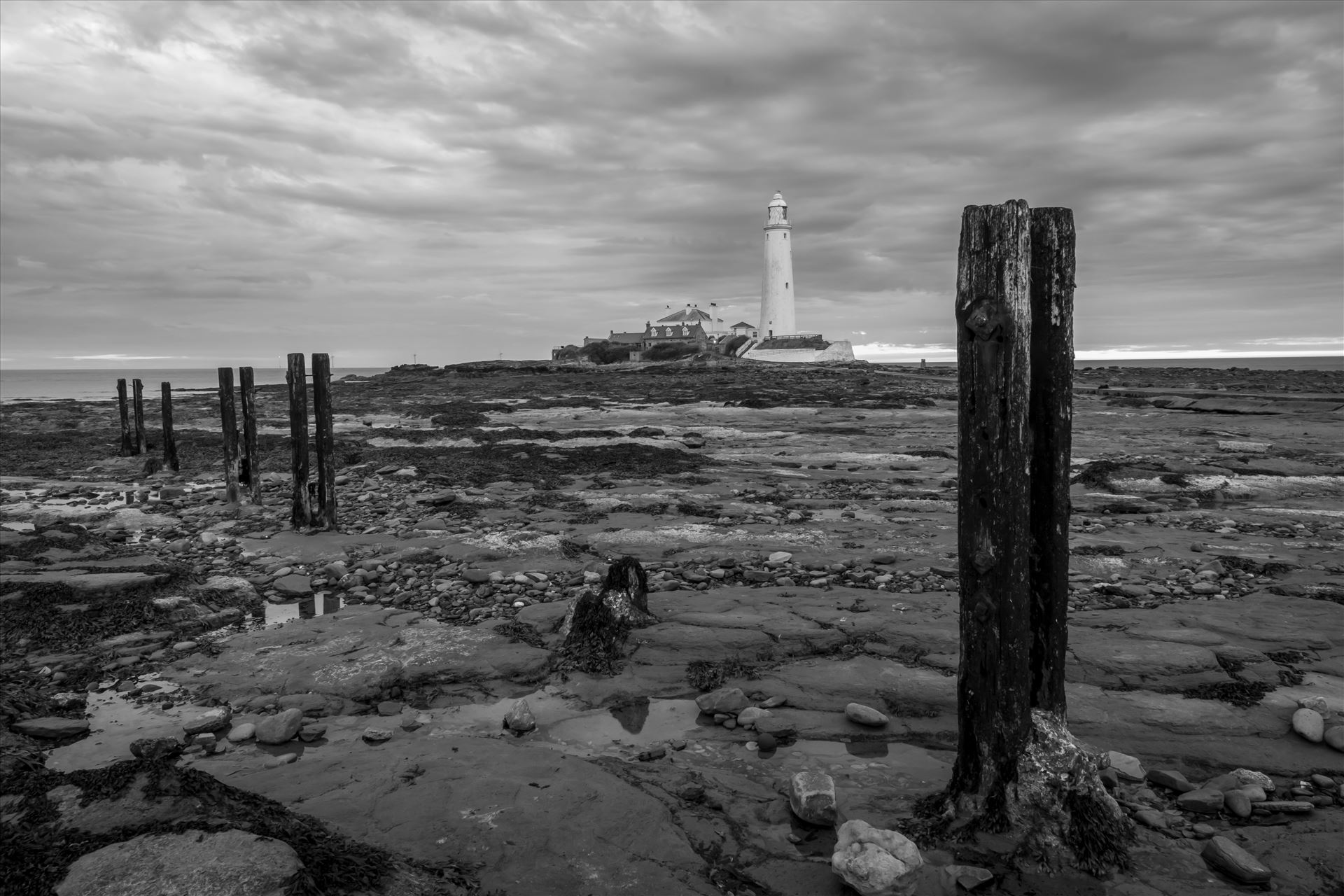 St Mary`s Island & lighthouse - St Mary`s lighthouse stands on a small rocky tidal island is linked to the mainland by a short concrete causeway which is submerged at high tide. The lighthouse was built in 1898 & was decommissioned in 1984, 2 years after becoming automatic. by philreay