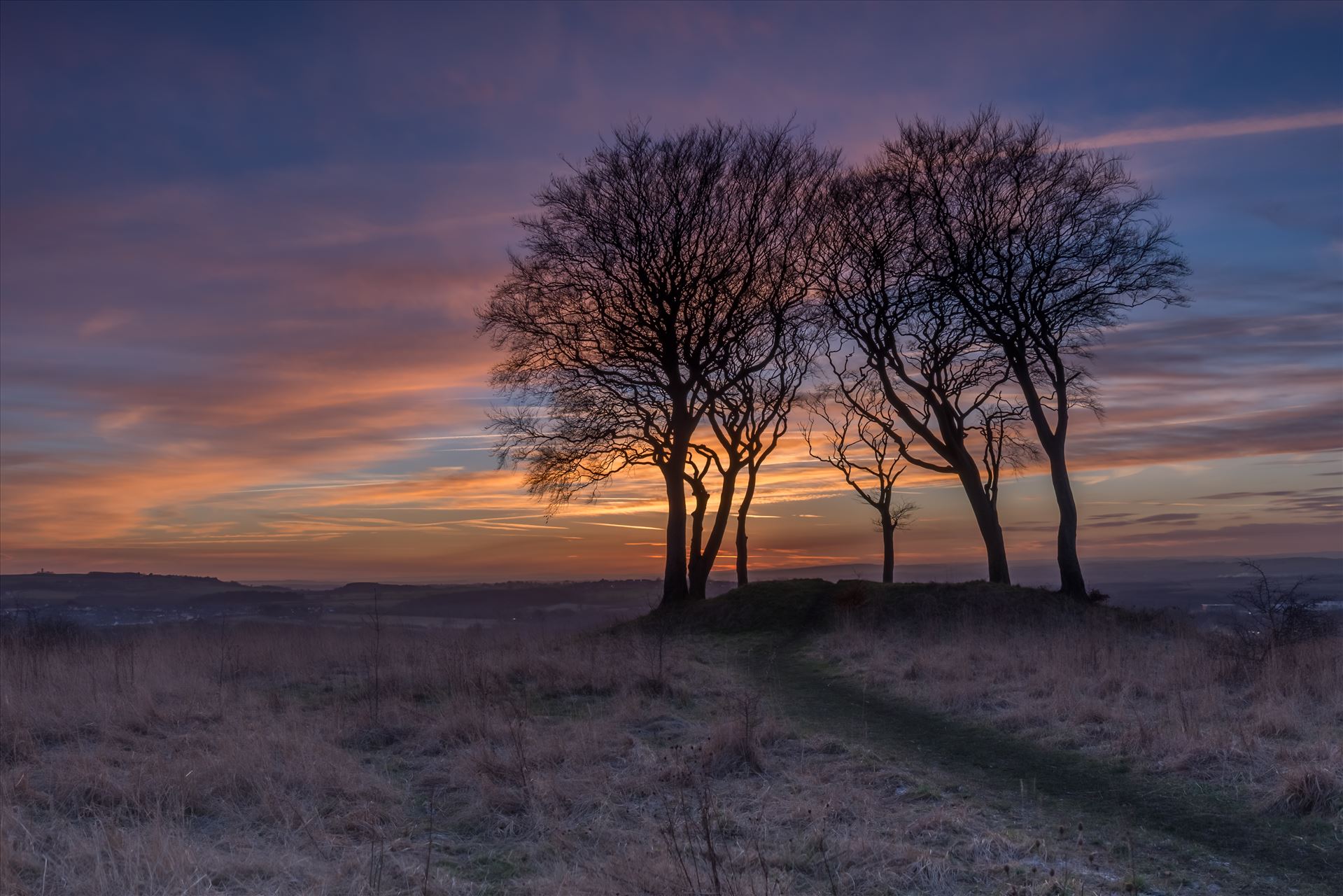 Sunset at Copt Hill - Copt Hill is an ancient burial ground near Houghton-le-Spring. The site is marked by six trees. Presumably there used to be a seventh tree, as they are known as the Seven Sisters. by philreay