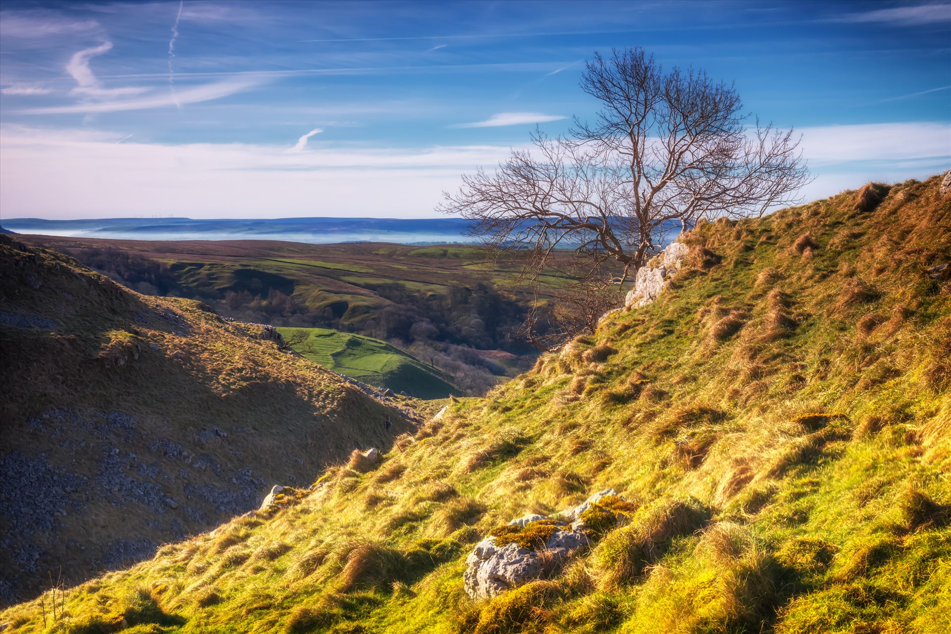 High above the valley - This lone tree sits high above the village of Malham in the Yorkshire Dales. by philreay