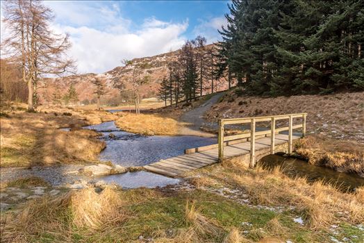 Preview of Blea Tarn, Gt Langdale