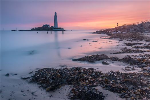 Sunrise at St Mary`s lighthouse & island, Whitley Bay 005 - 