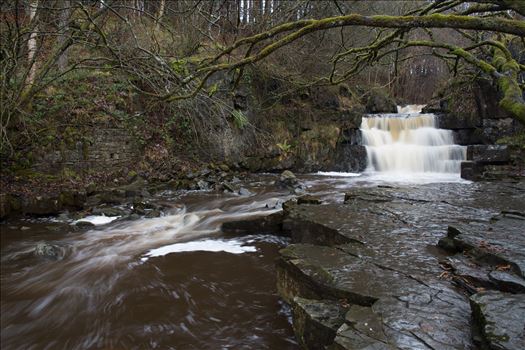 Summerhill Force - Summerhill Force is a picturesque waterfall in a wooded glade near Bowlees in Upper Teesdale.