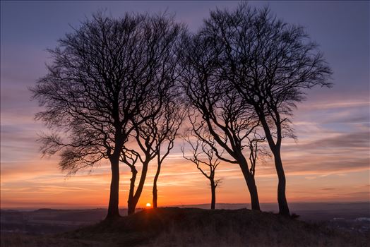 Sunset at Copt Hill - Copt Hill is an ancient burial ground near Houghton-le-Spring. The site is marked by six trees. Presumably there used to be a seventh tree, as they are known as the Seven Sisters.