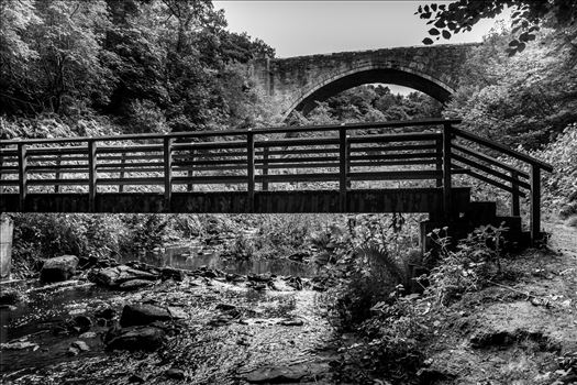 The Causey Arch is a bridge near Stanley in County Durham. It is the oldest surviving single-arch railway bridge in the world. When the bridge was completed in 1726, it was the longest single-span bridge in the country.