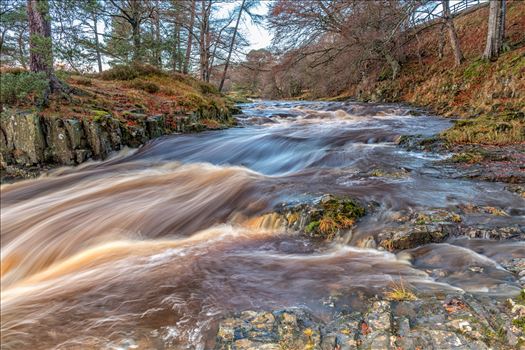 Low Force is a set of waterfalls on the River Tees in beautiful Upper Teesdale.