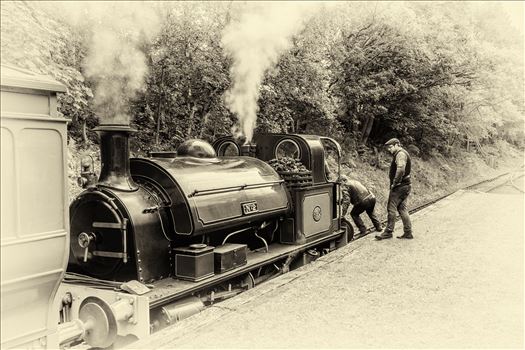 Steam train at Tanfield railway - 