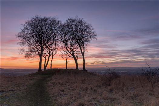 Sunset at Copt Hill - Copt Hill is an ancient burial ground near Houghton-le-Spring. The site is marked by six trees. Presumably there used to be a seventh tree, as they are known as the Seven Sisters.