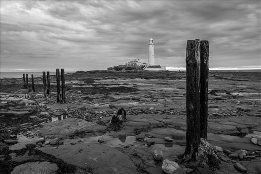 St Mary`s Island & lighthouse - St Mary`s lighthouse stands on a small rocky tidal island is linked to the mainland by a short concrete causeway which is submerged at high tide. The lighthouse was built in 1898 & was decommissioned in 1984, 2 years after becoming automatic.