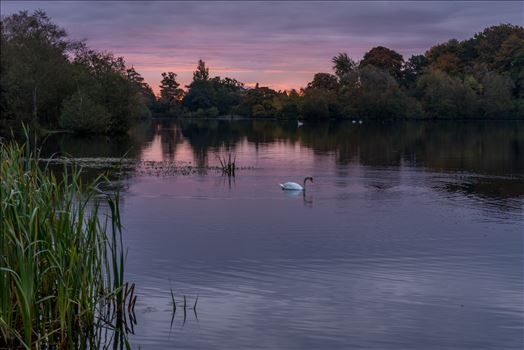 Bolam Lake at sunrise - Bolam Lake, Northumberland.