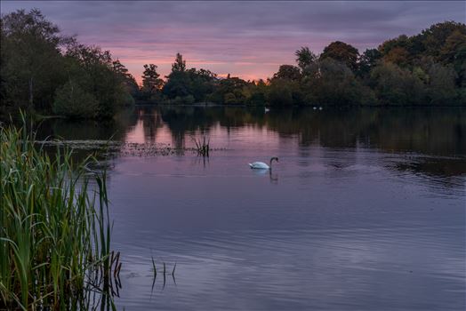 Bolam Lake, Northumberland.